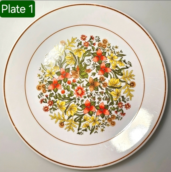 Vintage Corelle by CorningWare Indian Summer Dinner Plate Set of 2 - Picture 12 of 13